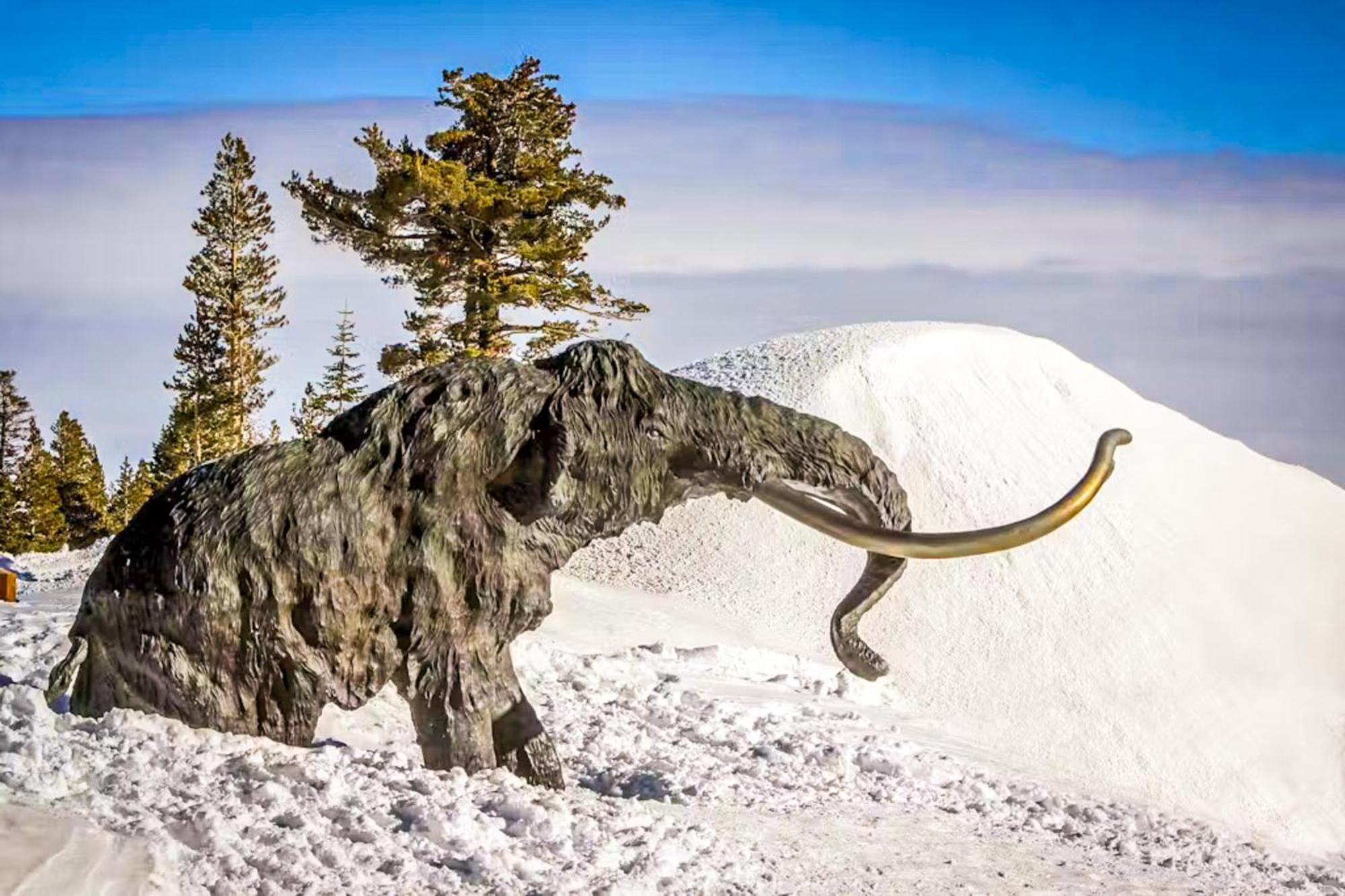 Discovery 4 162 Mammoth Lakes Exterior photo